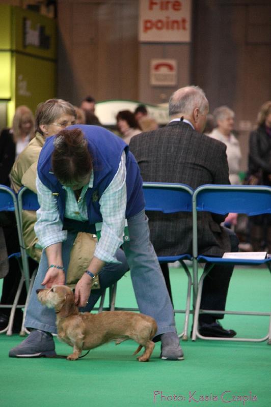 Crufts2011_2 725.jpg